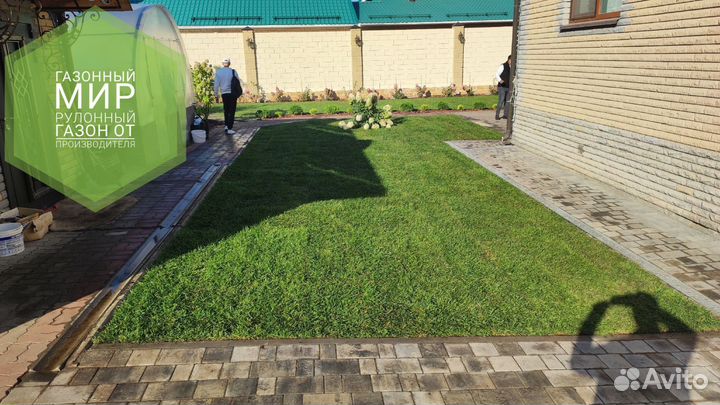 Рулонный газон