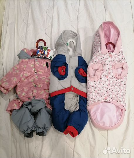 Одежда для собак