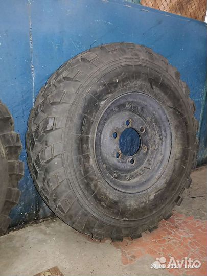Диски газ 66,3308,33081