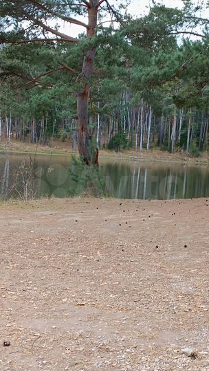 Дача 30 м² на участке 6 сот.