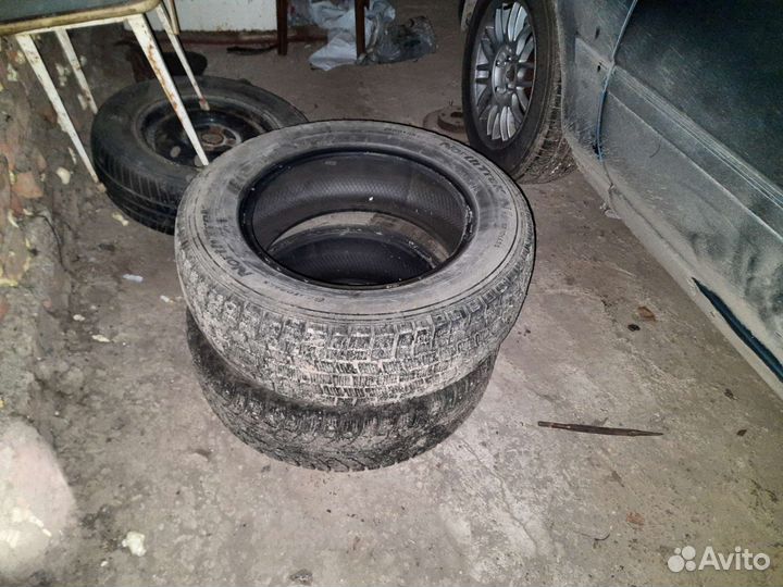 Gislaved Nord Frost 5 195/65 R15