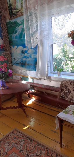 Дом 60 м² на участке 25 сот.