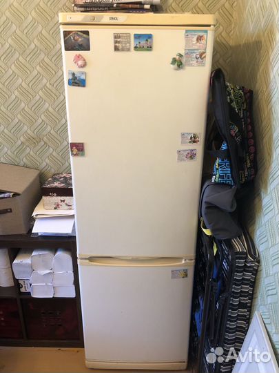 Холодильник stinol