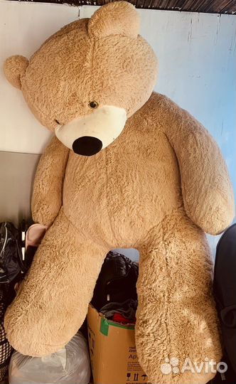 Плюшевый медведь