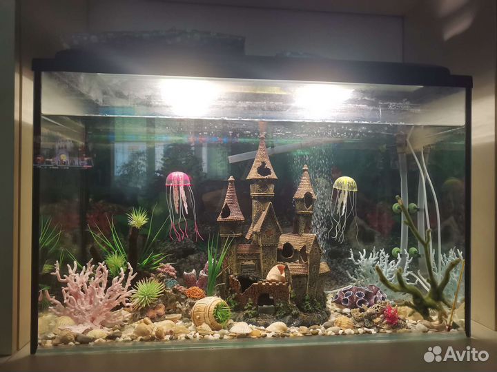 Аквариум