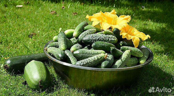 Продукты питания