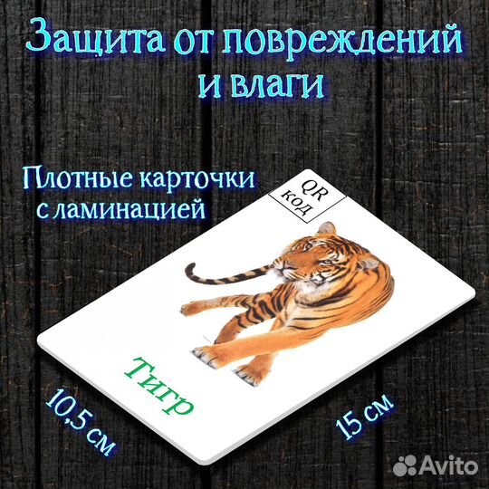 Интерактивные развивающие карточки Животные 1