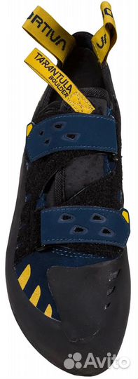 Скальные туфли