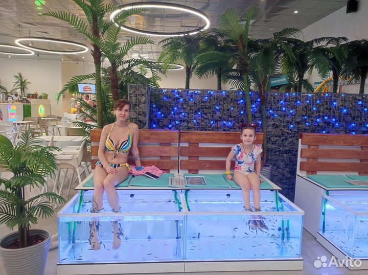 Администратор