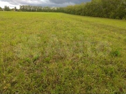 Участок 3 га (СНТ, ДНП)