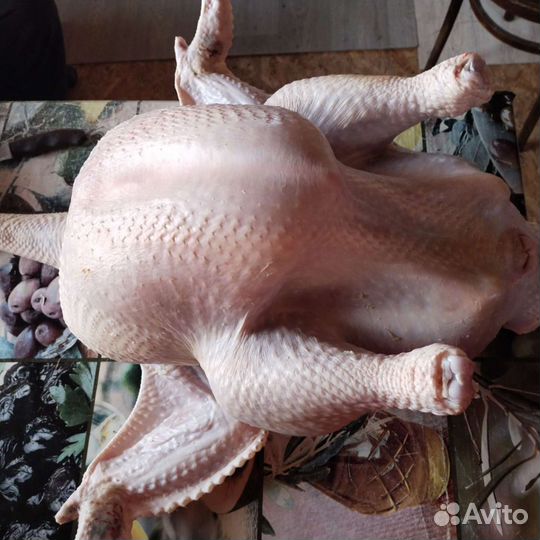 Мясо индейки