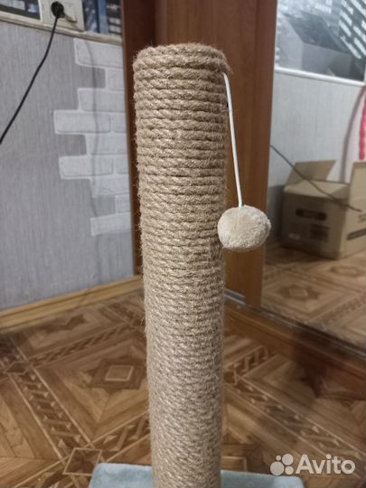 Когтеточка