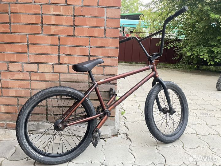 Bmx cheap wtp zodiac