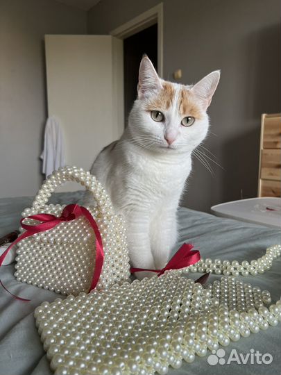 Сумки и сумочки женские