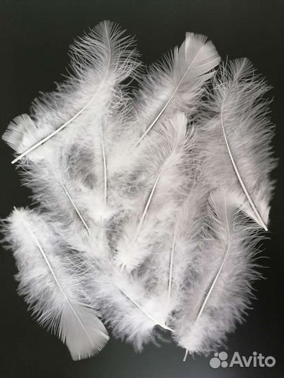 Перья натуральные набор для поделок и украшений