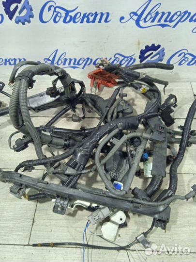 Проводка подкапотная Mazda Atenza GJ2FW shvptr