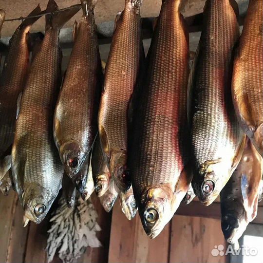 Хариус домашнего копчения