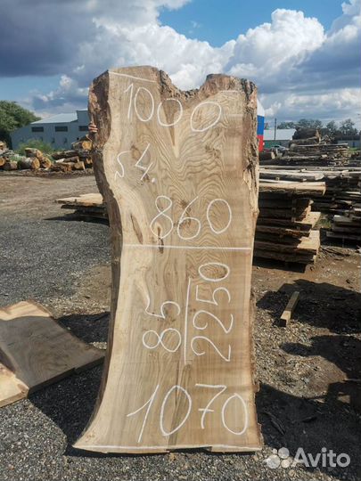 Слэбы карагача