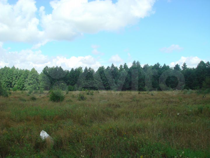 Участок 12 сот. (ИЖС)
