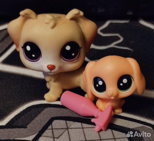 Littlest pet shop