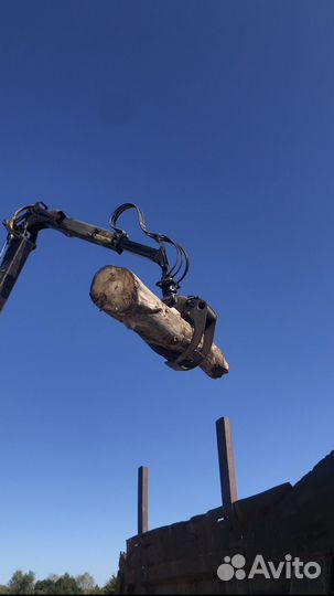 Продам Дрова сухие