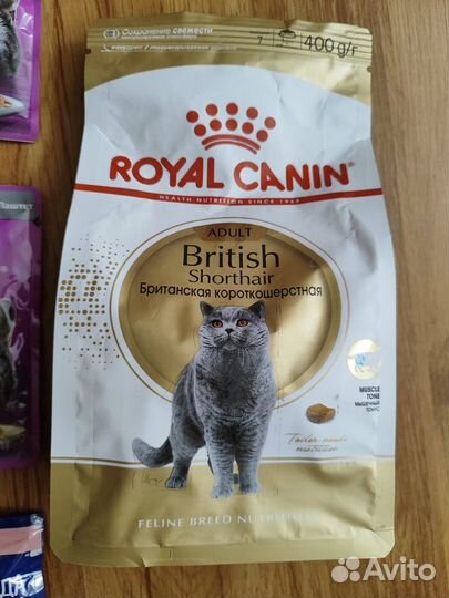 Сухой корм royal canin british shorthair adult для