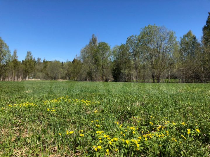 Участок 12 сот. (ИЖС)