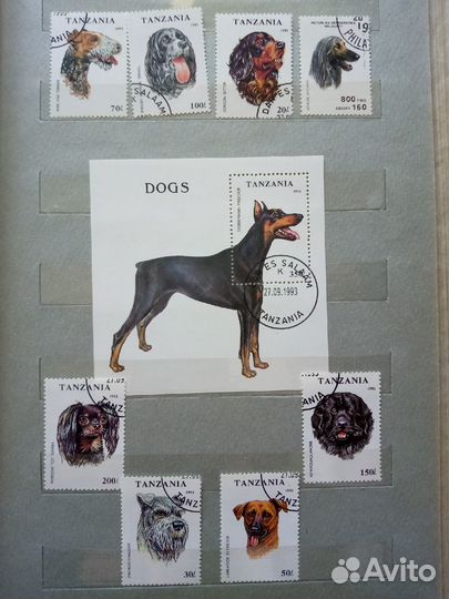 Марки. Собаки