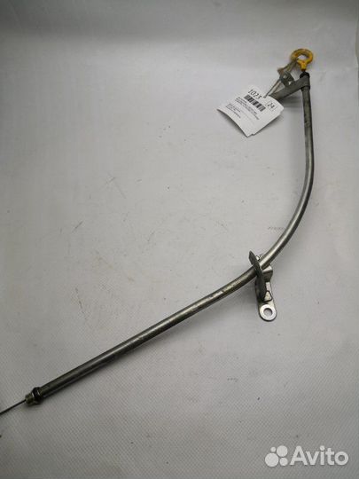 Щуп масляный Nissan Elgrand NE51 VQ35DE 2008