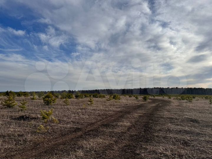 Участок 9,49 га (СНТ, ДНП)