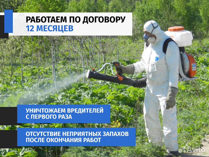 Уничтожение Клопов Клещей Ос Грызунов Борщевика