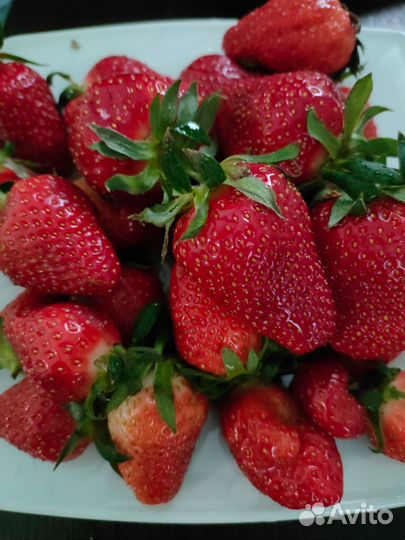 Усы виктории