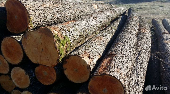 Дрова от производителя