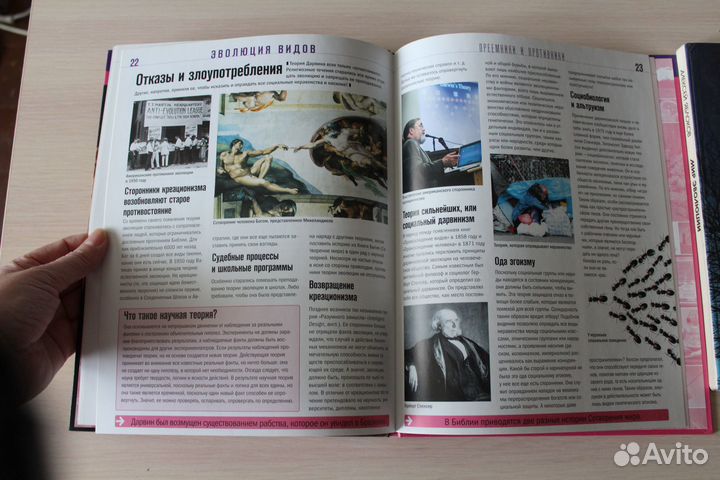 Детские книги про эволюцию человека