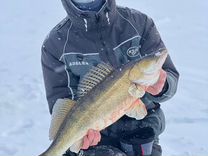 Зимняя рыбалка с гидом