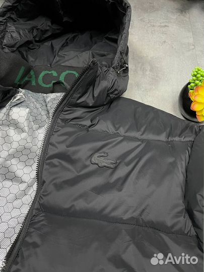 Зимние куркти Lacoste