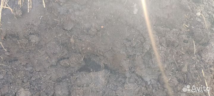 Чернозем, перегной торф песок