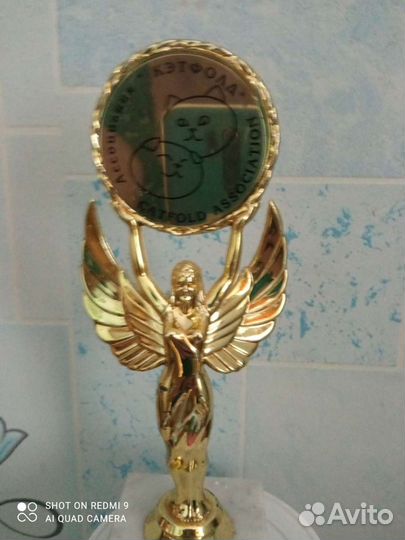 Кубок новый