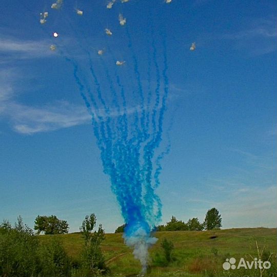 Дневной салют для гендер пати в Омске