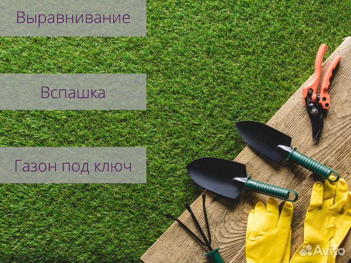 Благоустройство участка