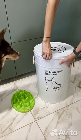 Бак контейнер для хранения корма для собак и кошек