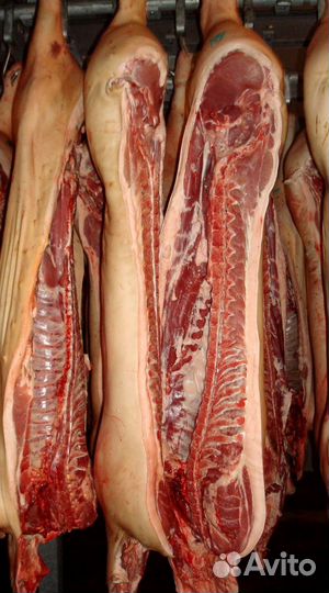 Свинина в полутушах оптом