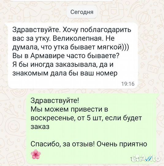 Утка домашняя мясо