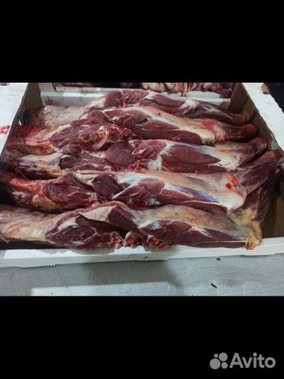 Баранина мясо наличии