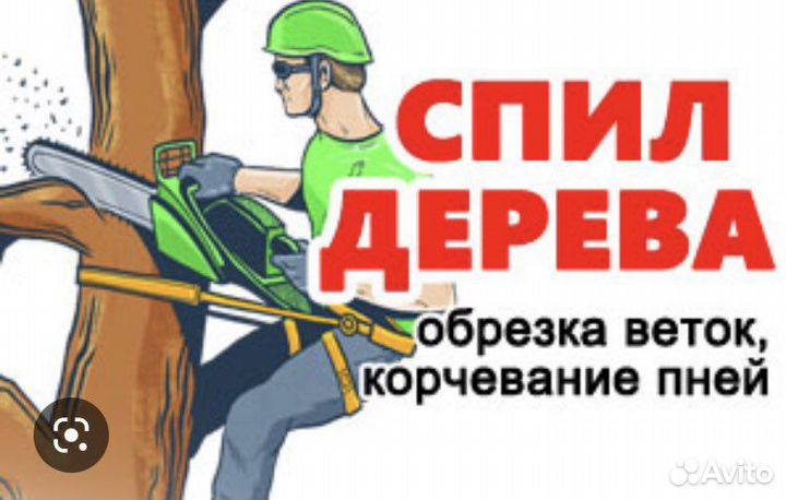 Спил Деревьев