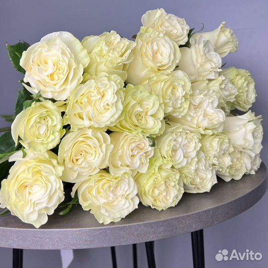 Цветы Розы Букет 25 35 51 101 роза Эквадор