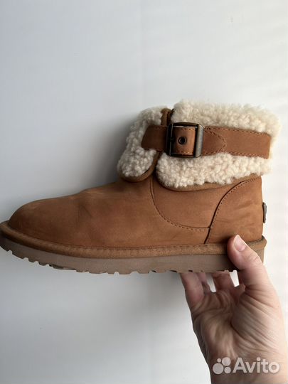 Ugg australia