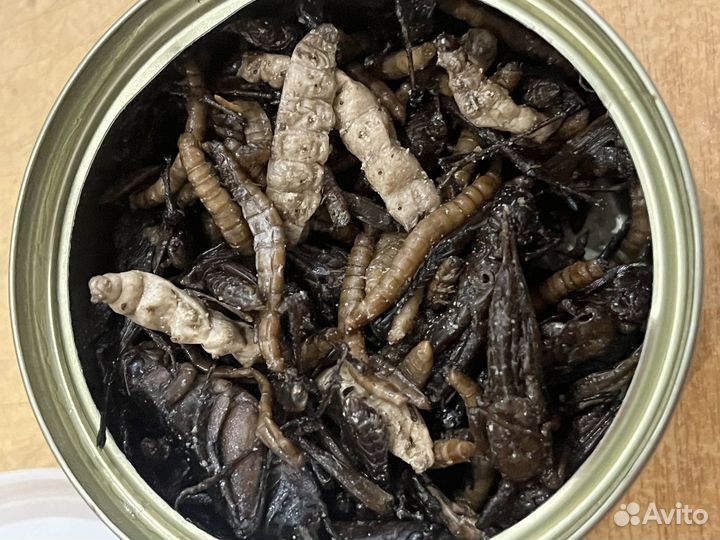 Кормовые насекомые консерва
