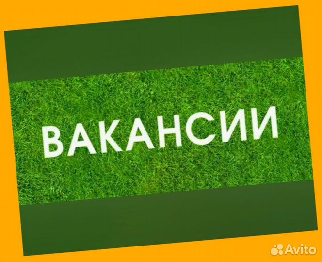 Сборщик заказов на склад Авансы еженедельно без оп