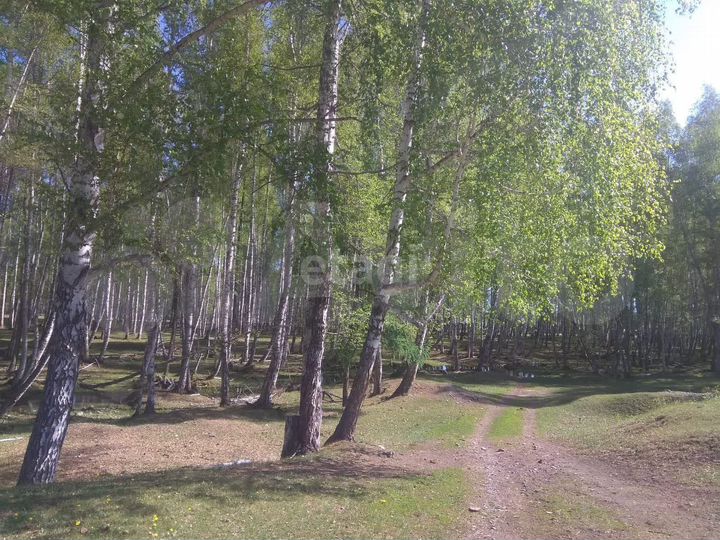 Участок 18 сот. (ИЖС)